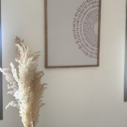 WhatsApp Image 2024 07 10 at 2.25.39 PM