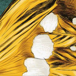 il 1588xN.3259755287 re95