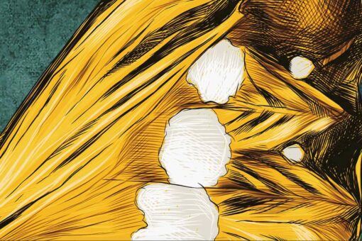 il 1588xN.3259755287 re95