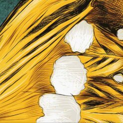 il 1588xN.3259783831 9y56