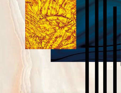 il 1588xN.3579743271 ltce