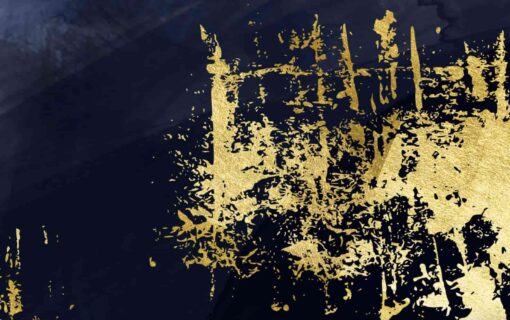 il 1588xN.3939781302 lfog