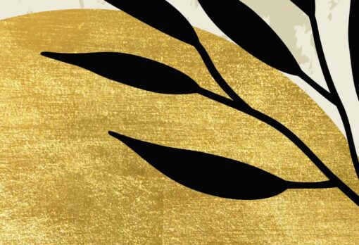 il 1588xN.4527594192 2fps