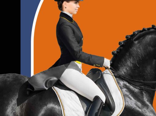 il 1588xN.4701885441 p2jm