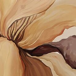 il 1588xN.3416989830 6pp3