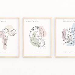 il 1588xN.4079837427 fkke